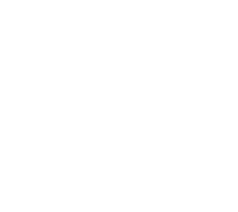 provide logo and server