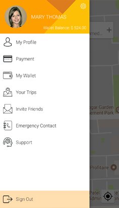 Rider Application in Default theme