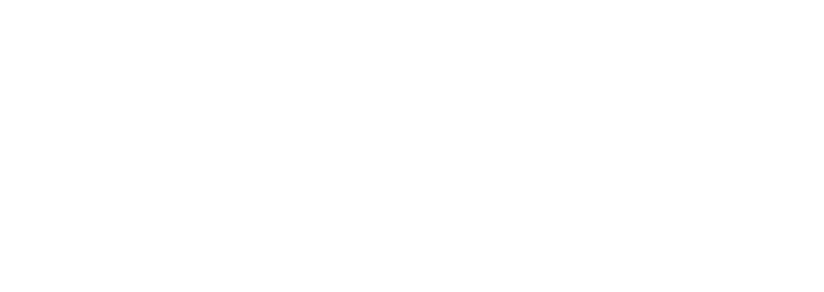 2021 Version