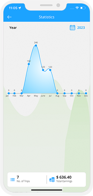 trip and earning statistics