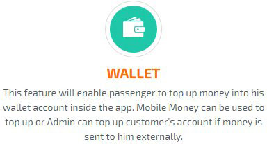In App Wallet