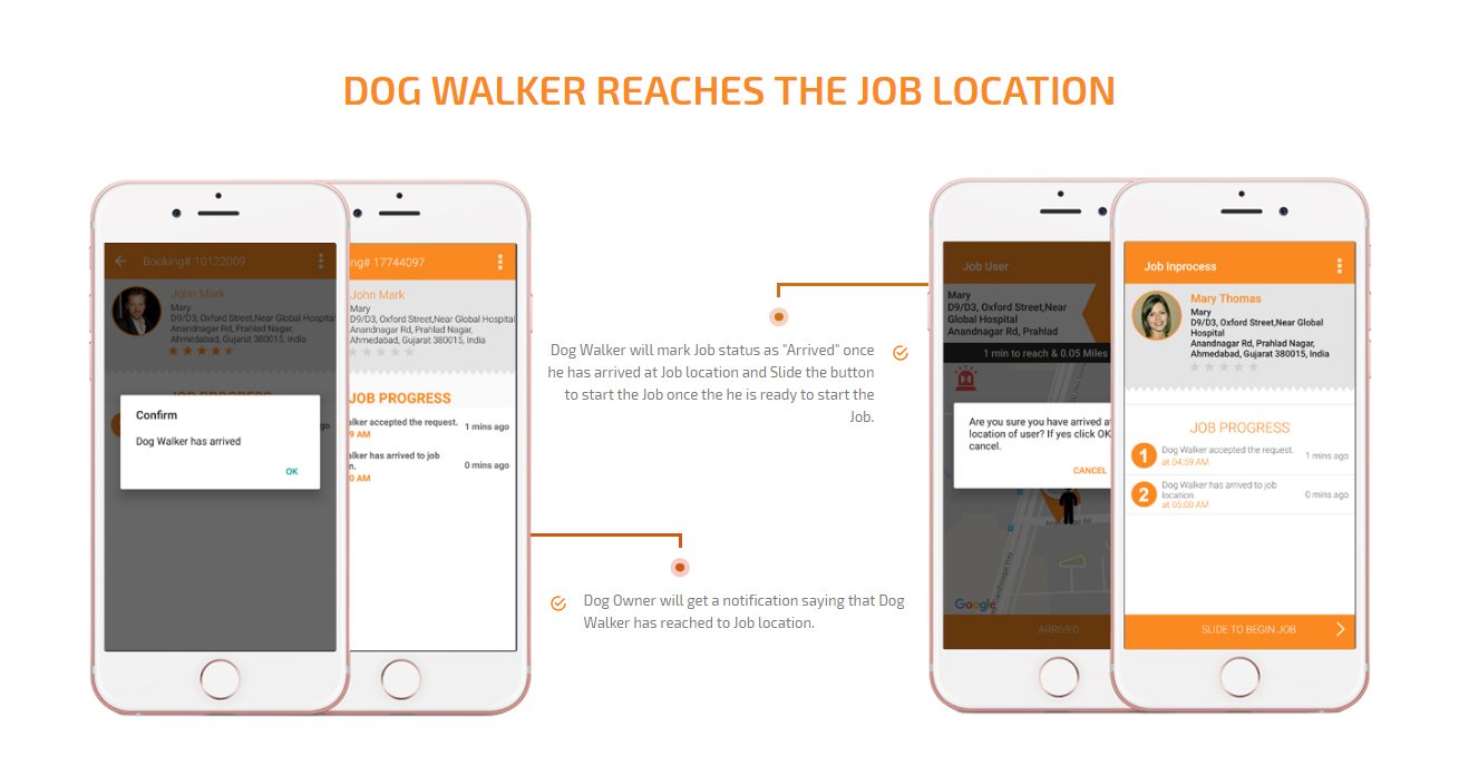 dog walker reaches at the job location