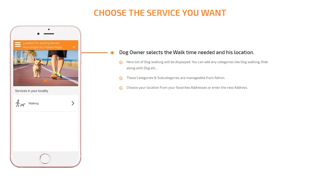 dog owner choose the service they want