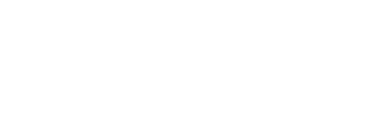 2021 Version
