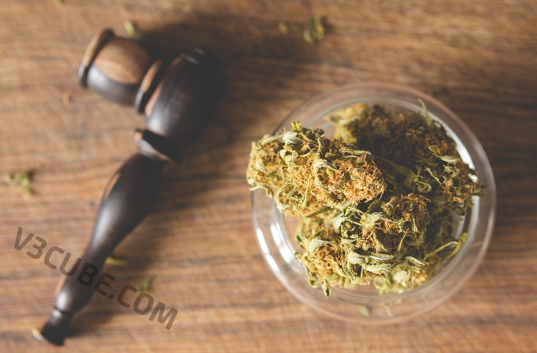 Marijuana on Demand App